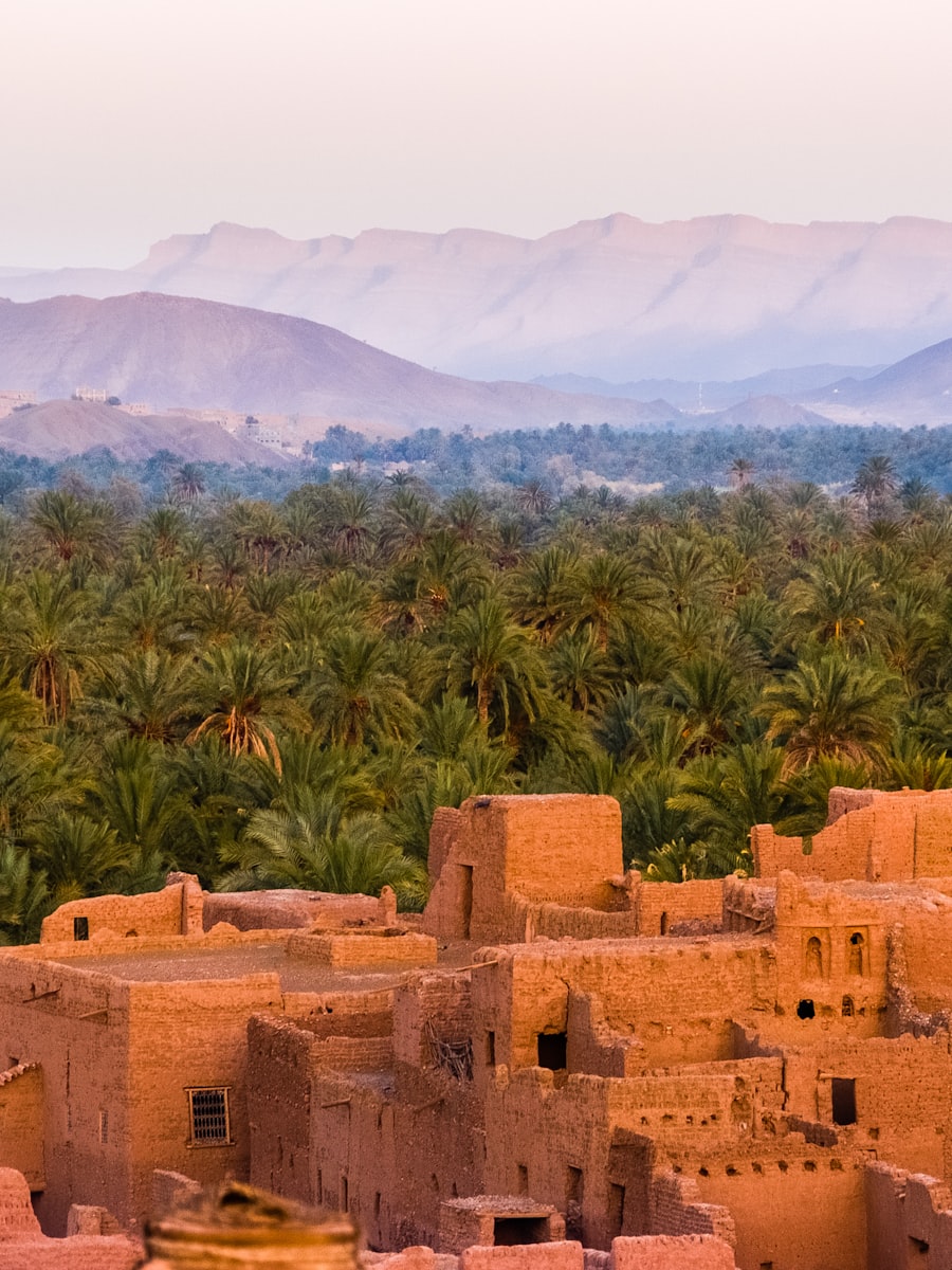 Moroccan theme — clay kasbah against palm groves at dusk